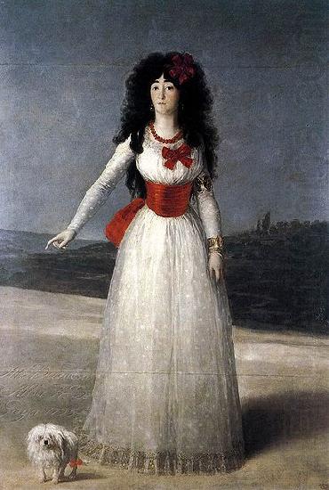 Francisco de Goya White Duchess china oil painting image